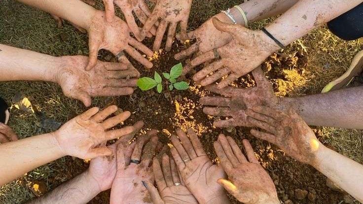 Colorful abstract shapes symbolizing nature and sustainability, ESG initiatives.