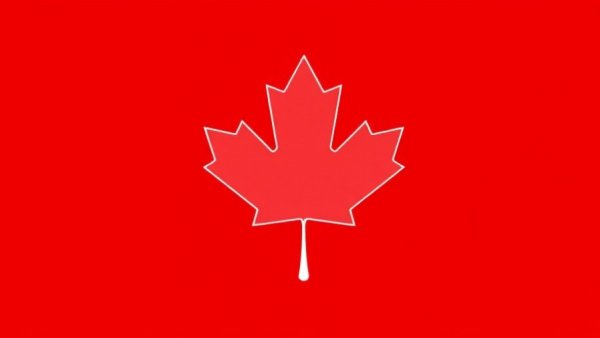 White maple leaf on red background symbolizing Canada.