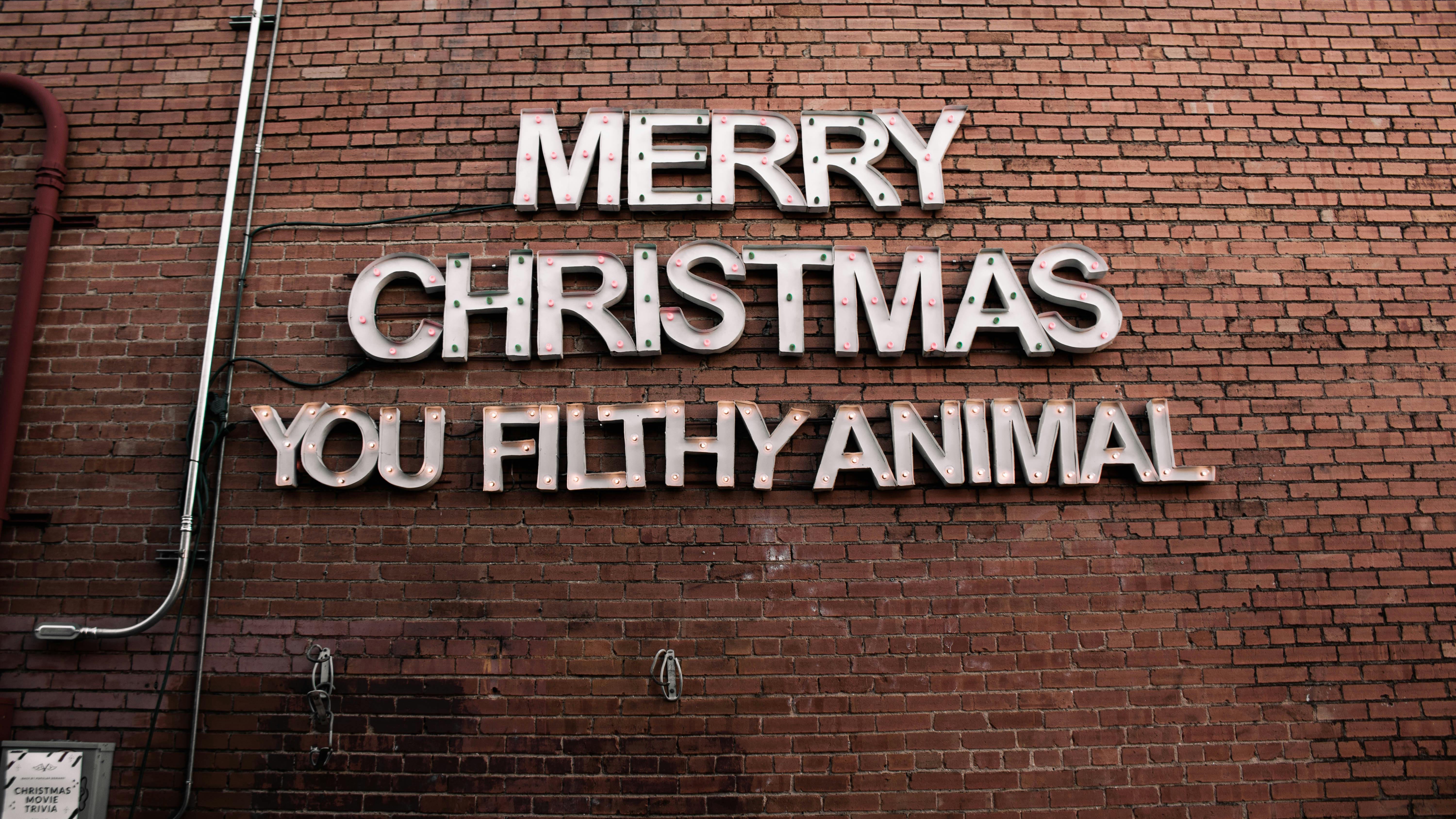 Casual family gathering in a cozy holiday-decorated living room embracing Omaha family holiday movies.