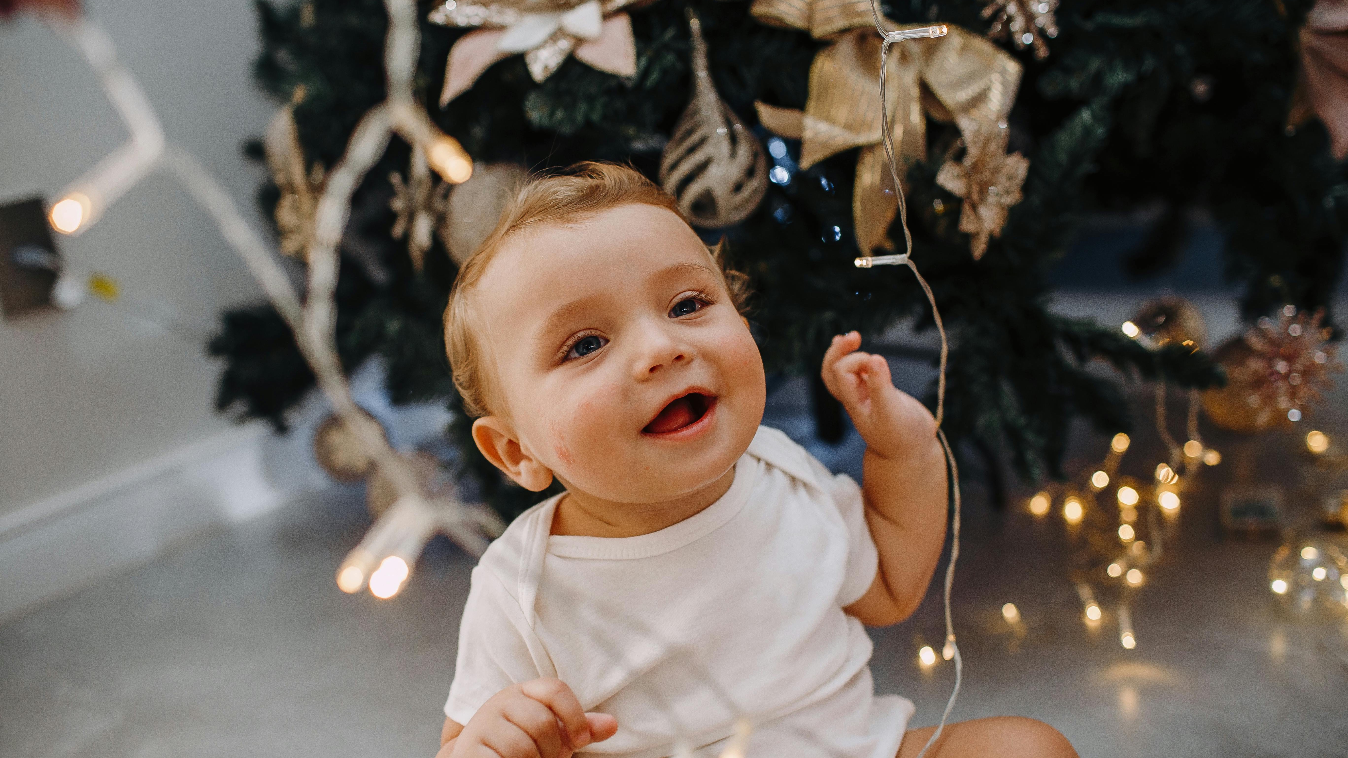 Unique holiday decor ideas and hostess gifts, Omaha.