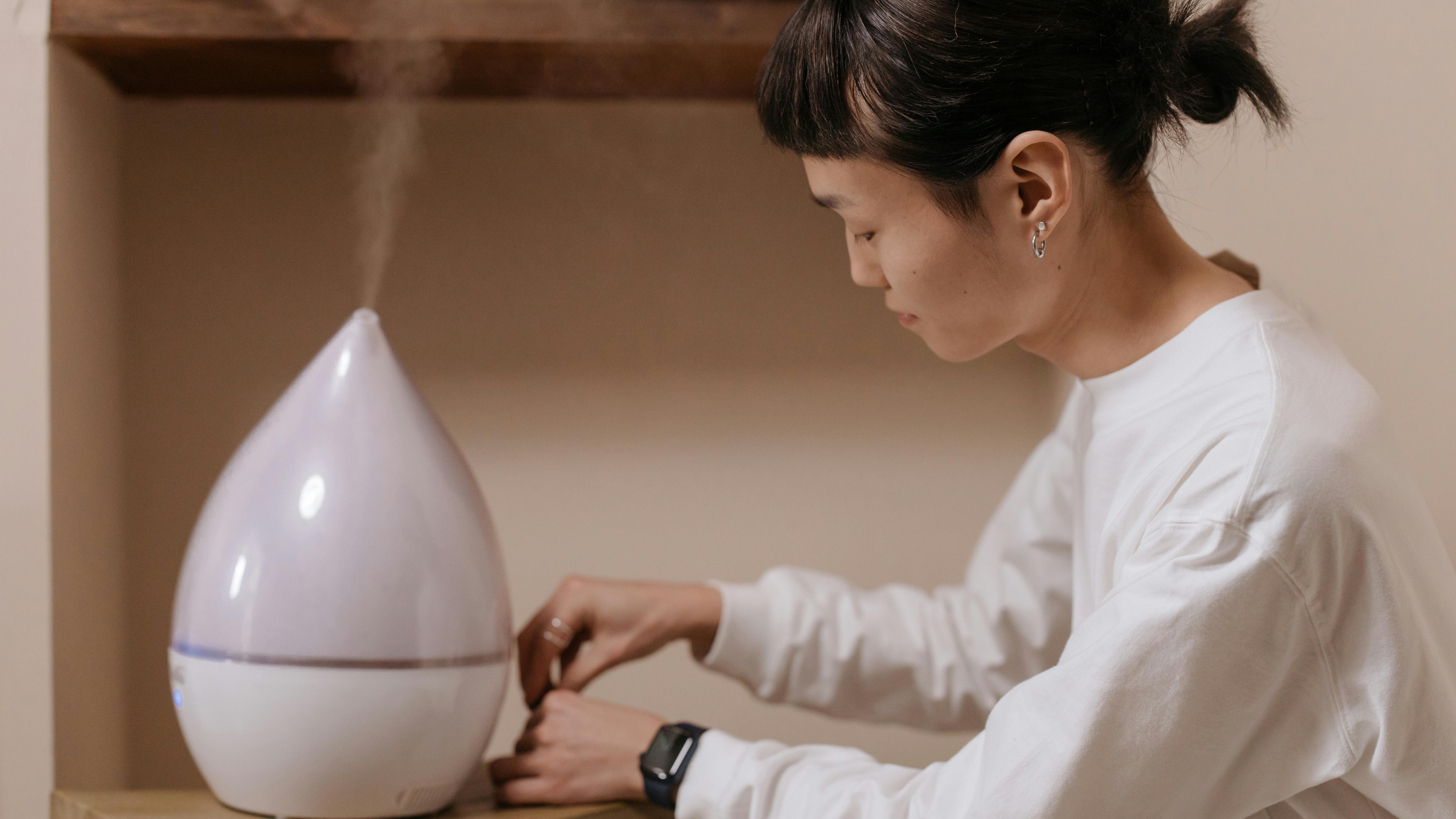Modern dehumidifier in a cozy room, showcasing usage.