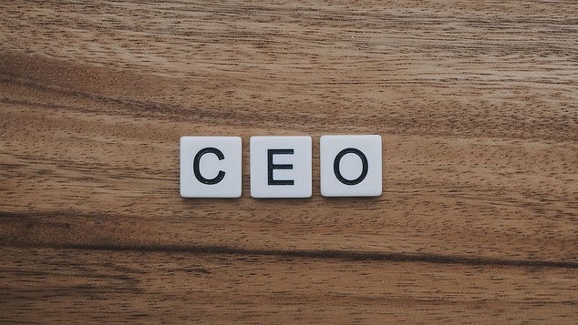 Shuttlecocks symbolize pitfalls of an interim CEO with contrasting backdrops.