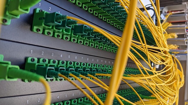 Internet utility box on lawn with flags, suburban neighborhood setting.