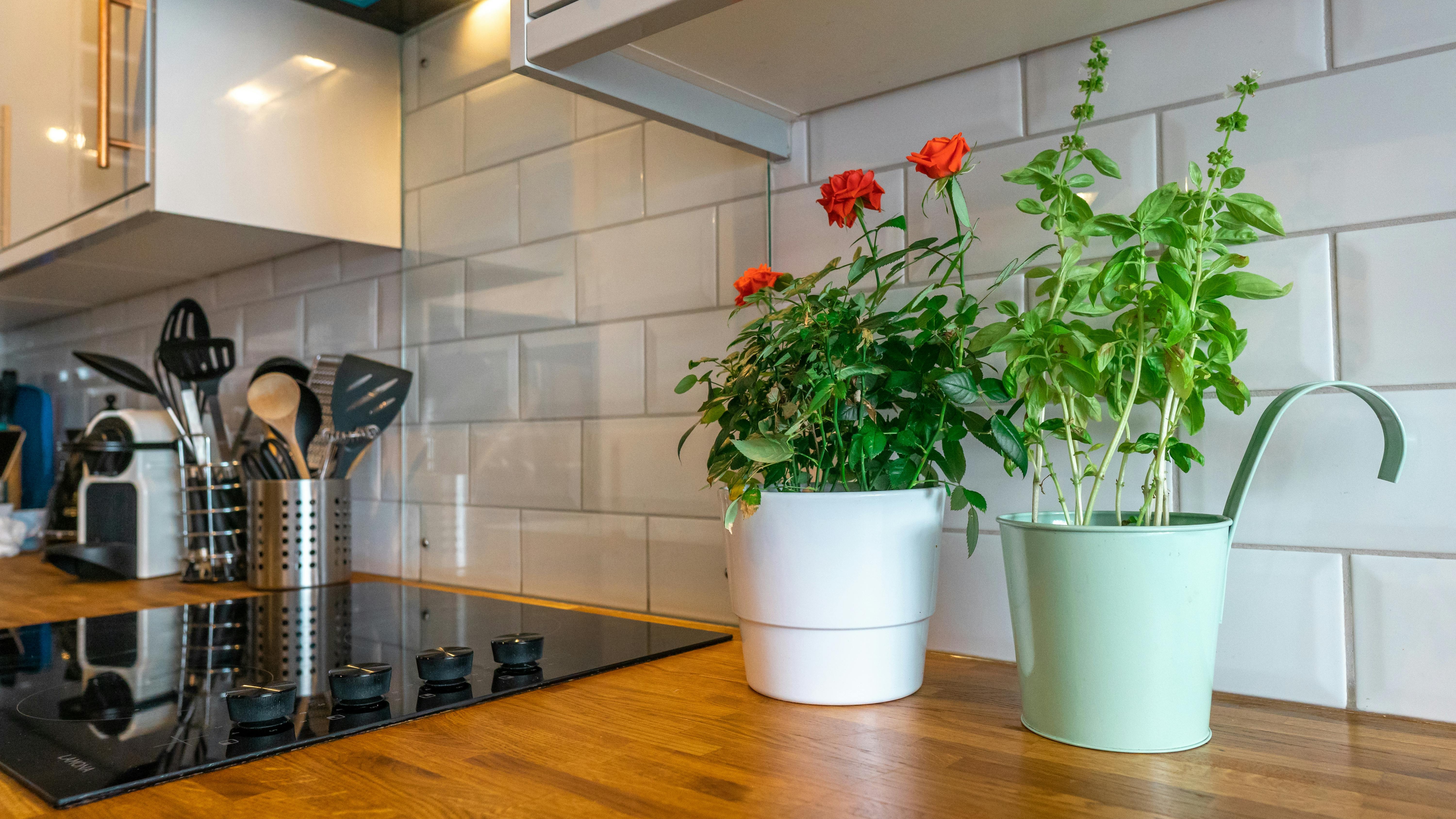 Modern small kitchen with bright colors to appear larger.