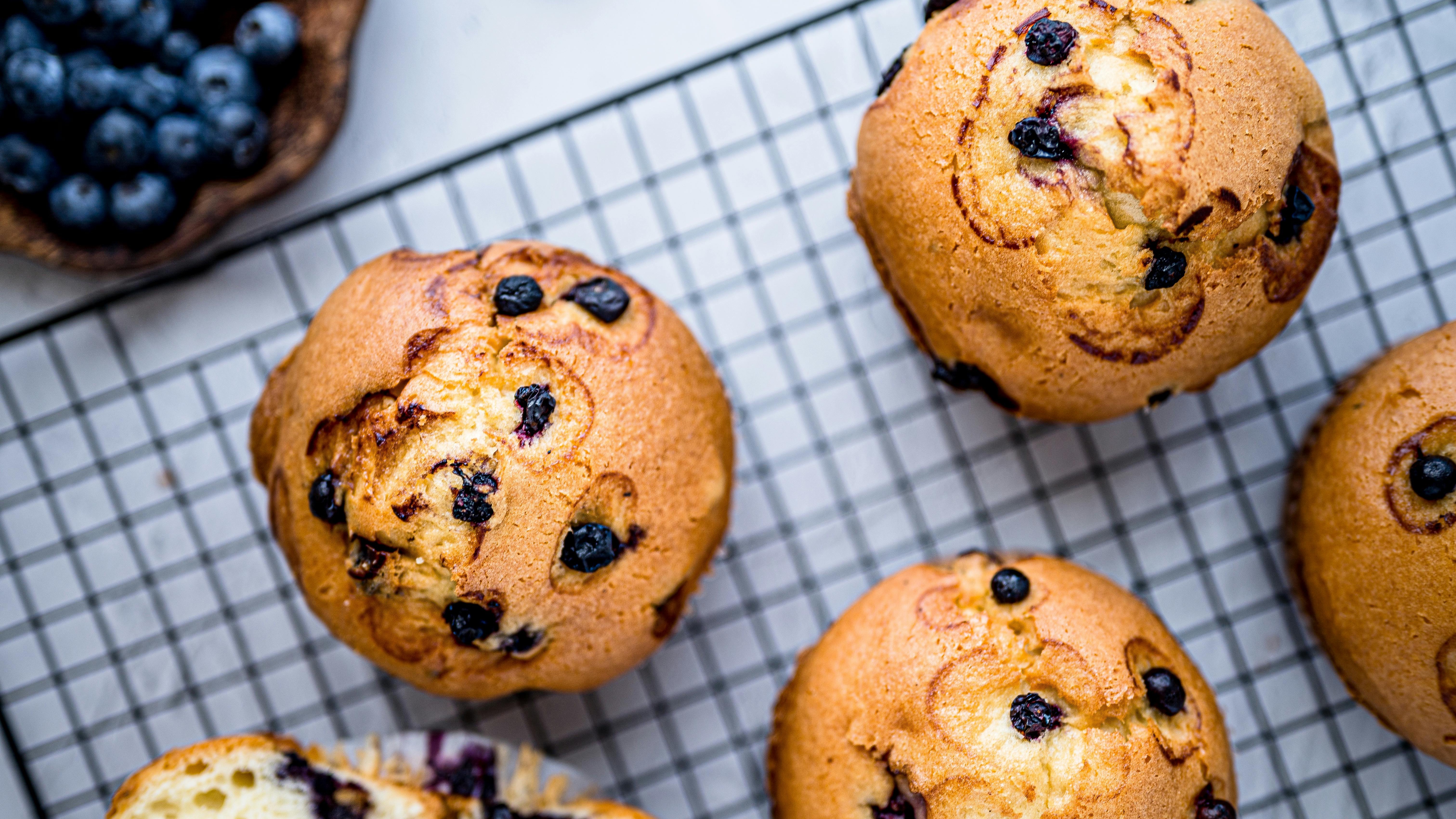 Freshly baked blueberry bagels on a tray, healthy family meals.
