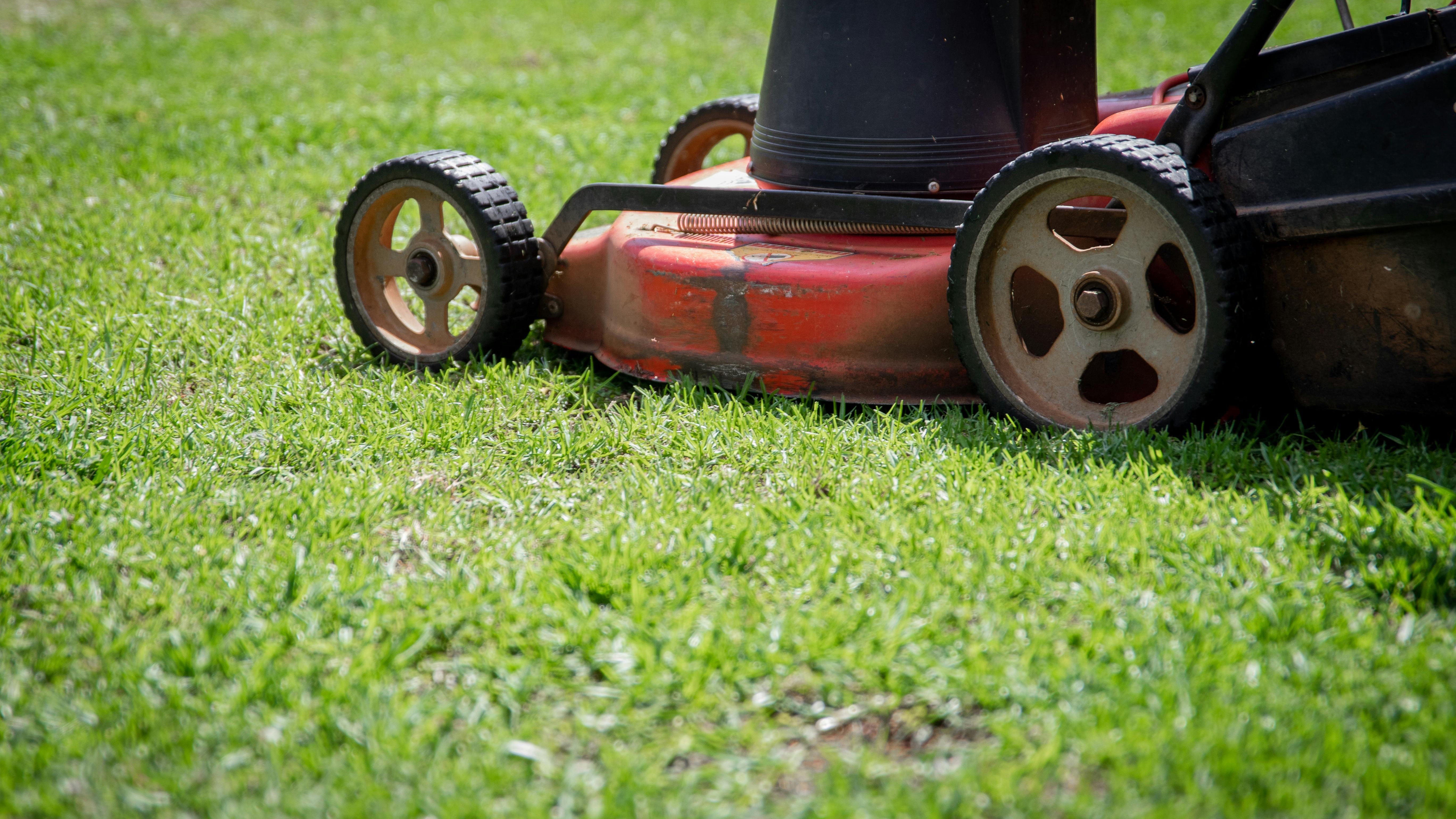 Robot lawn mower with LiDAR technology on a grass and gravel edge
