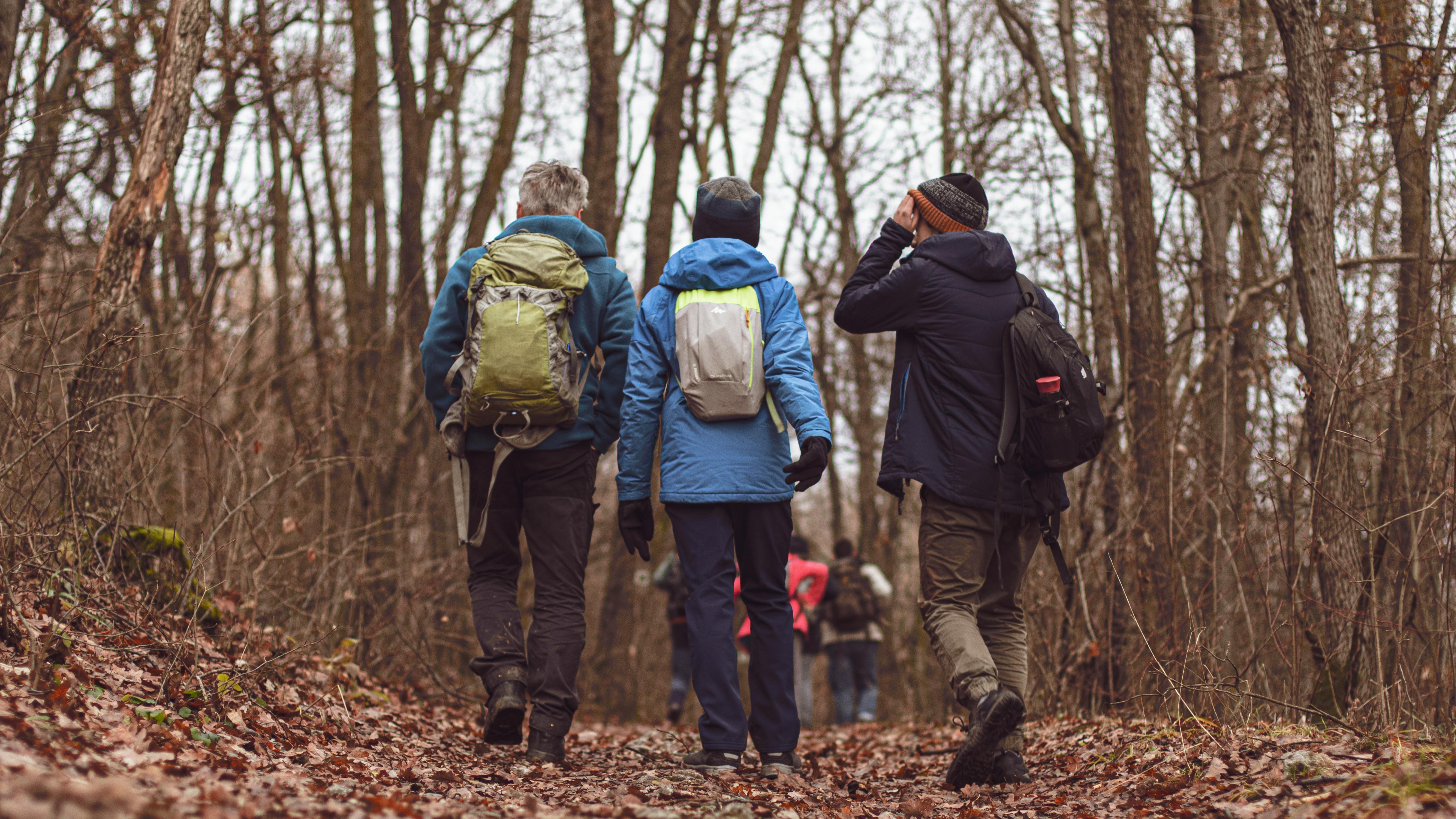 Group hiking as workplace culture initiatives activity