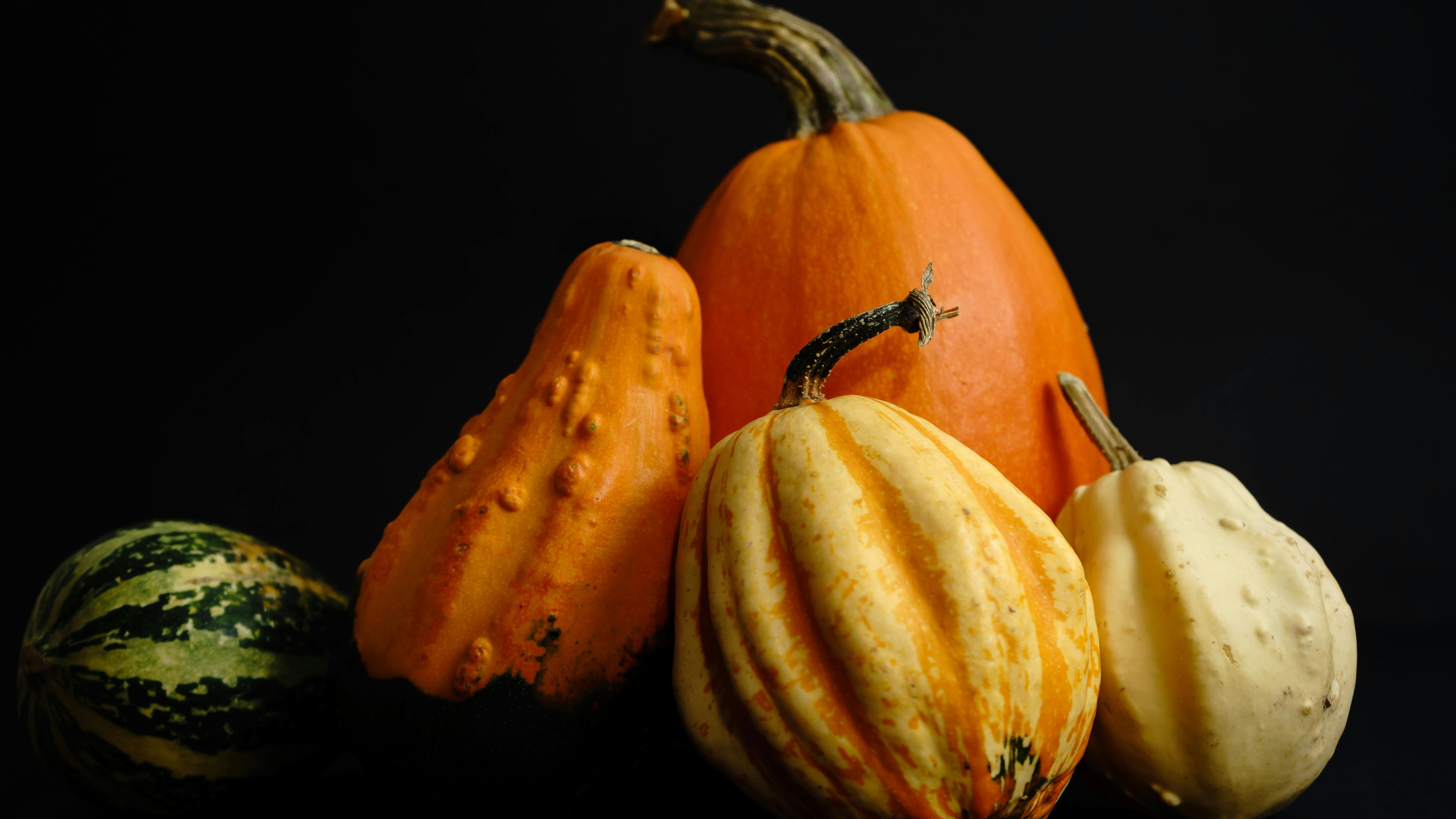 Heirloom Squash Varieties and Other Pumpkins 