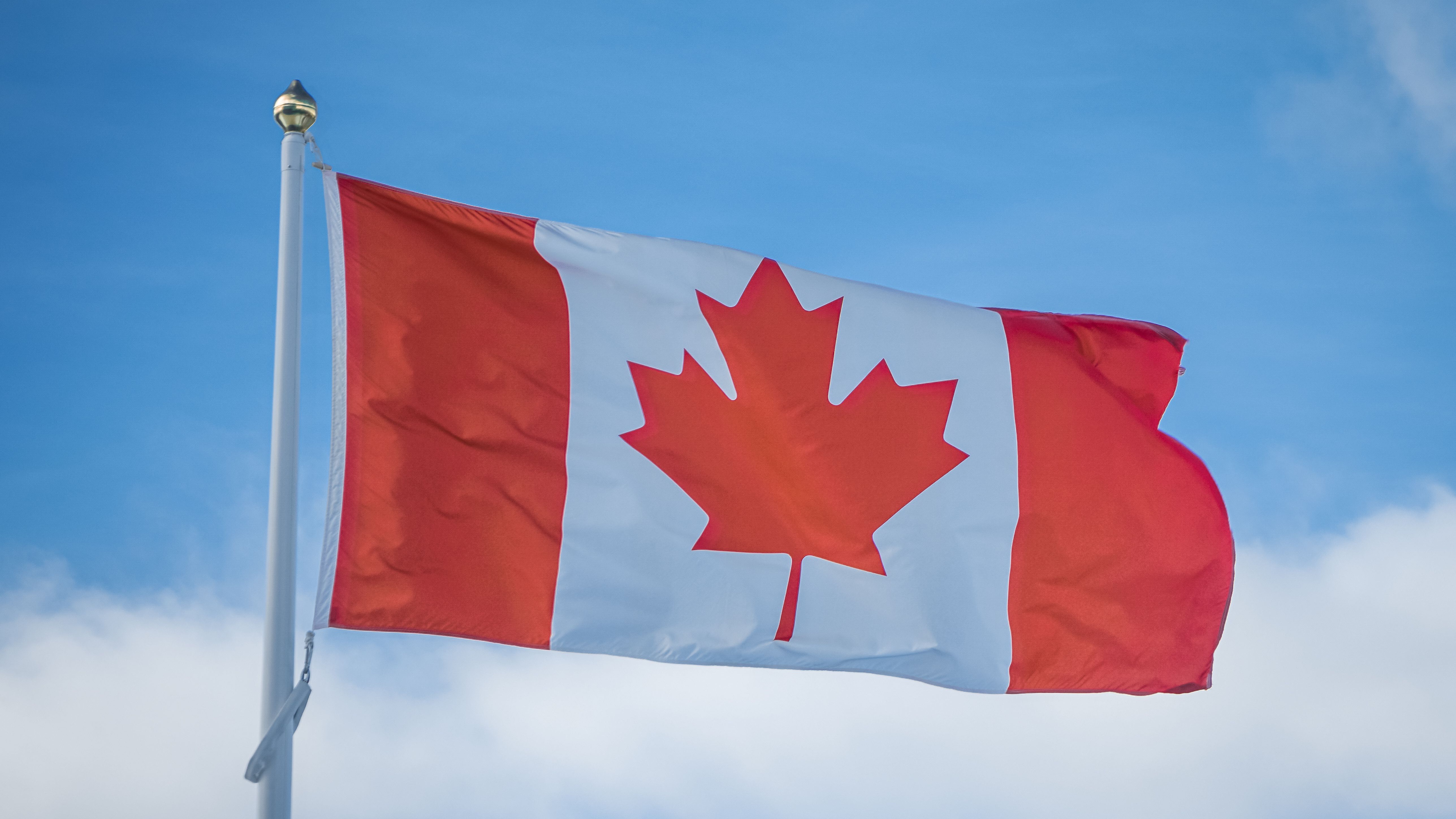 White maple leaf on red background symbolizing Canada.