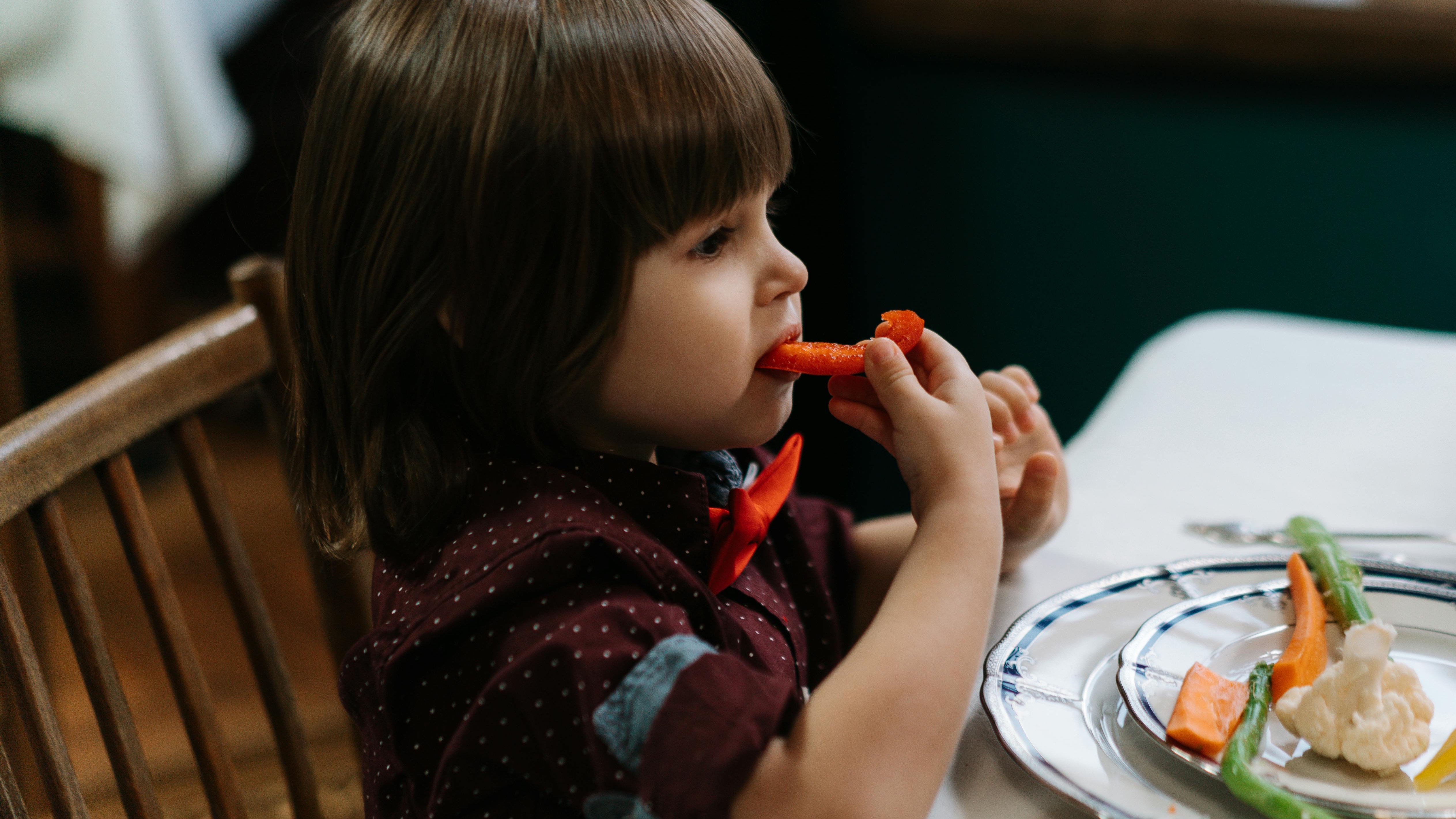 Healthy toddler lunch ideas displayed in colorful boxes.