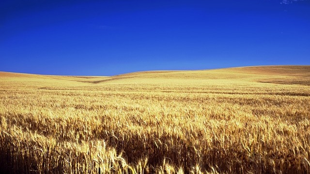 Kansas Guard Joins Armenian Partners for Eagle Partner 2025