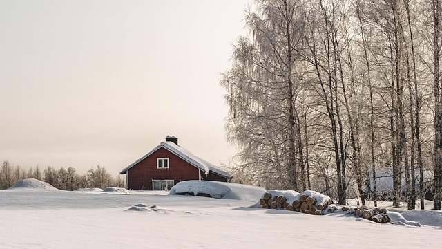 Virginia Guard Participates in Warfighter Exercise in Finland