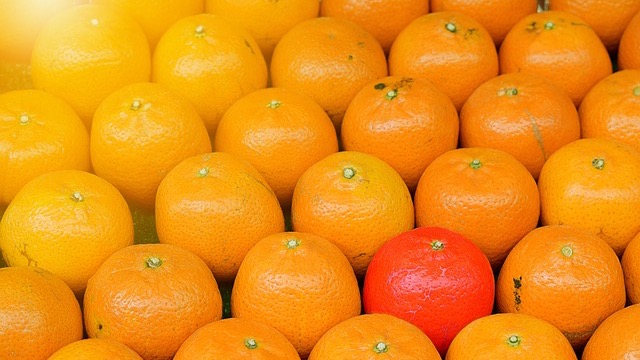 Bust symbolizing succeeding in legacy culture, museum setting with ropes.