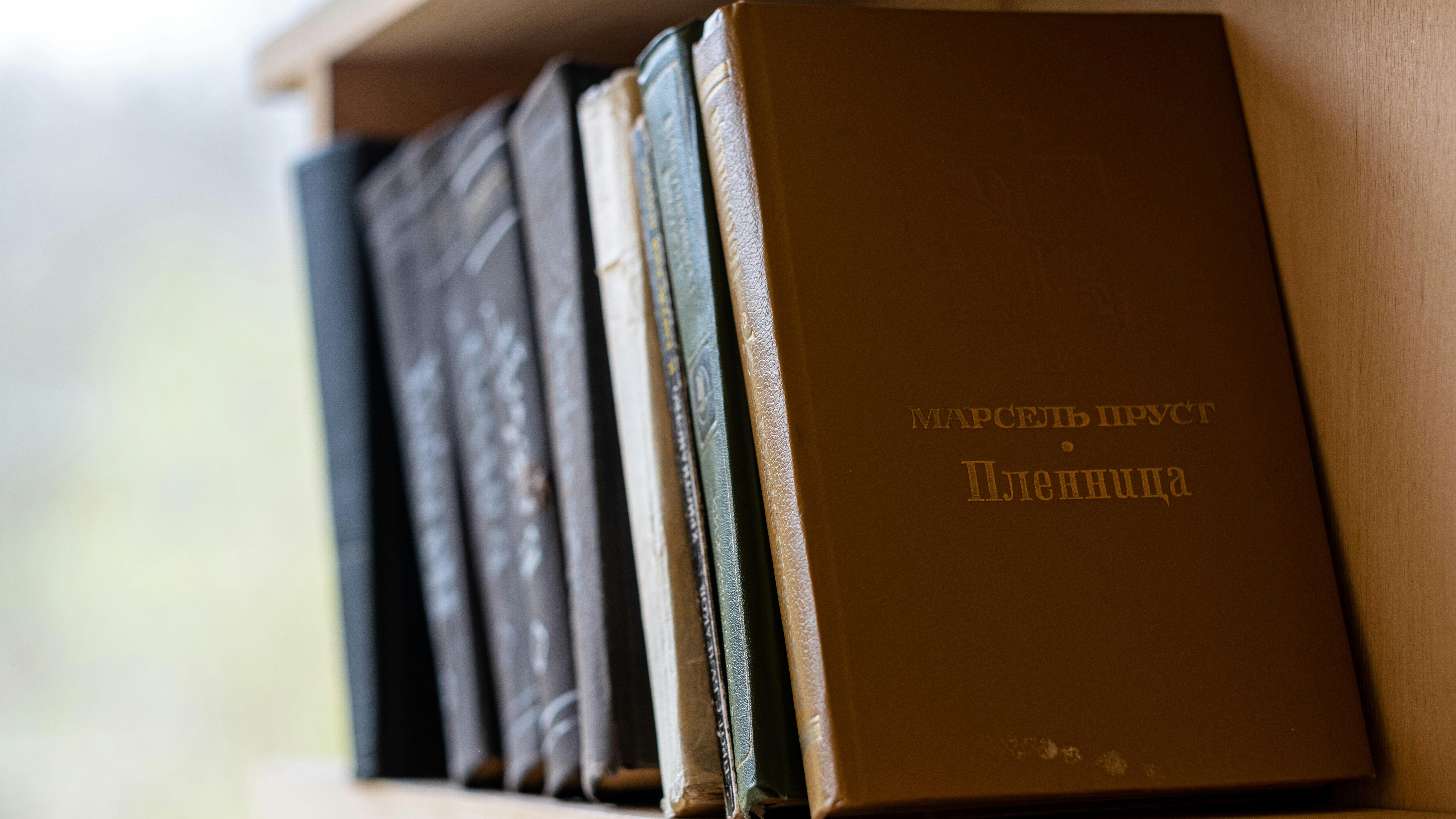 DIY Barrister Bookcase with Pocket Doors design in modern room