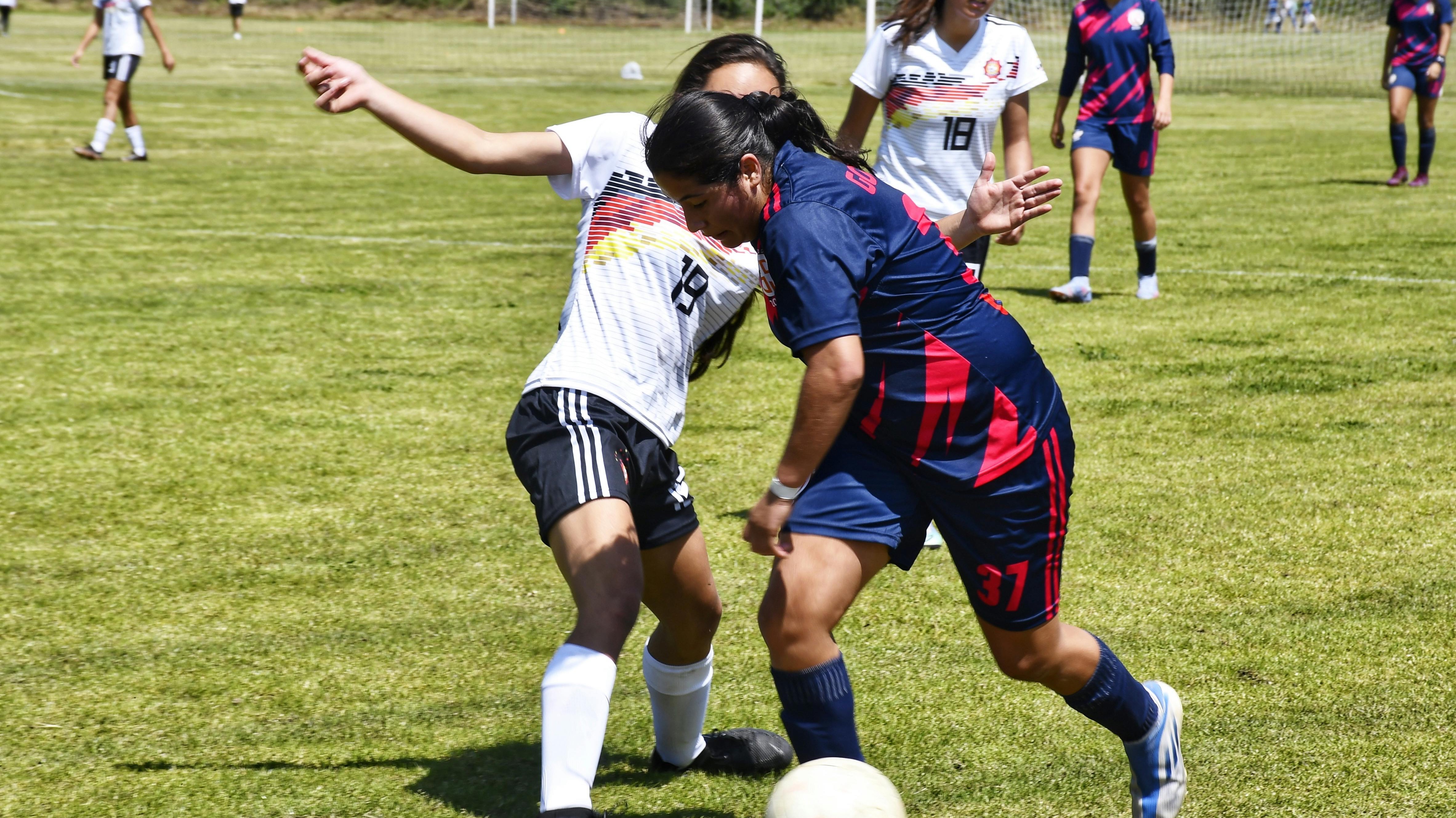 Assorted signed football helmets, emphasizing challenges for live sports streaming.