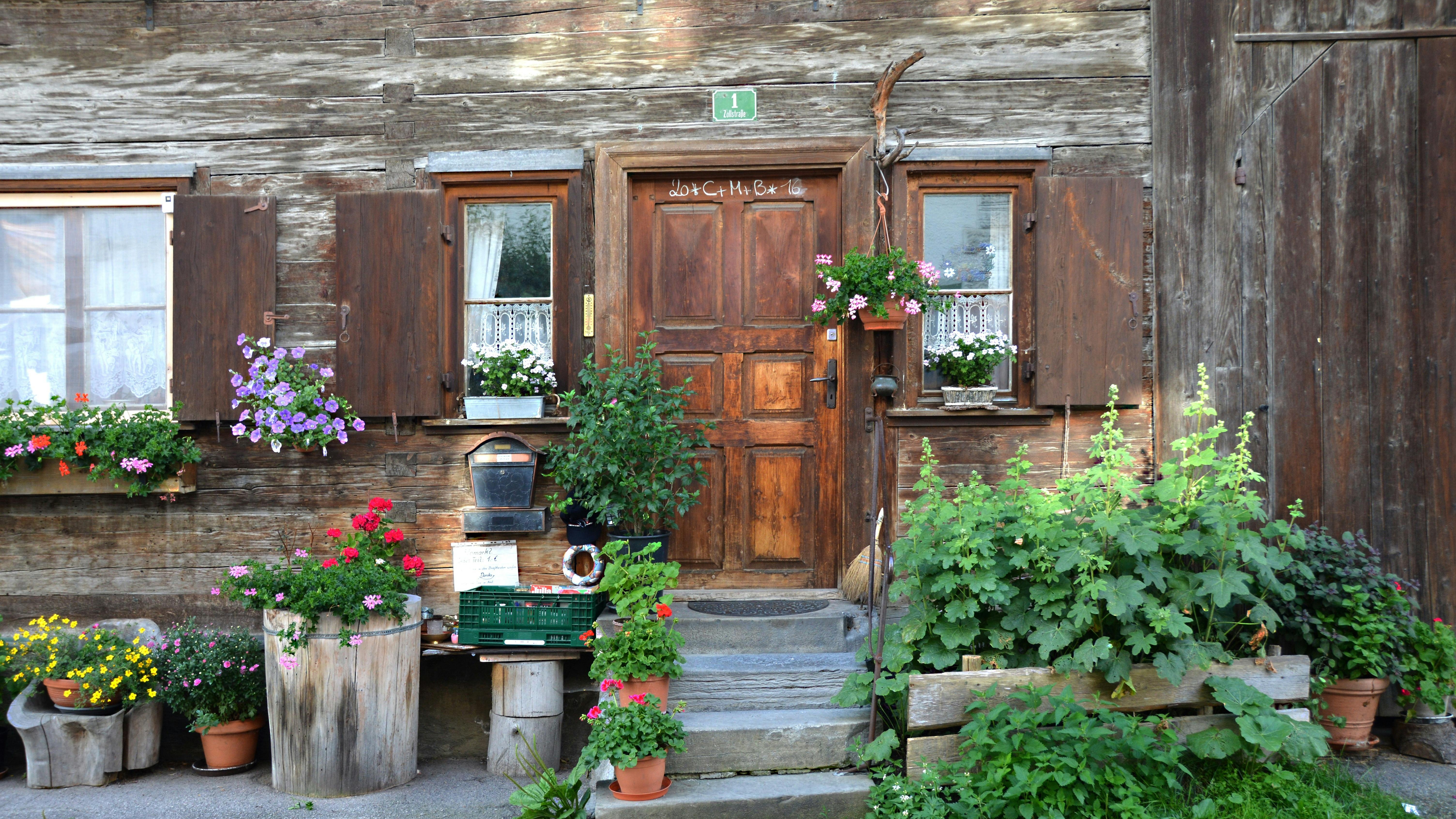 Rustic house with lush front yard greenery and curb appeal tips.
