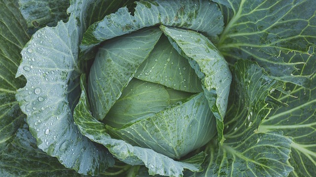 Noteworthy Strange Vegetables to Grow in Your Garden