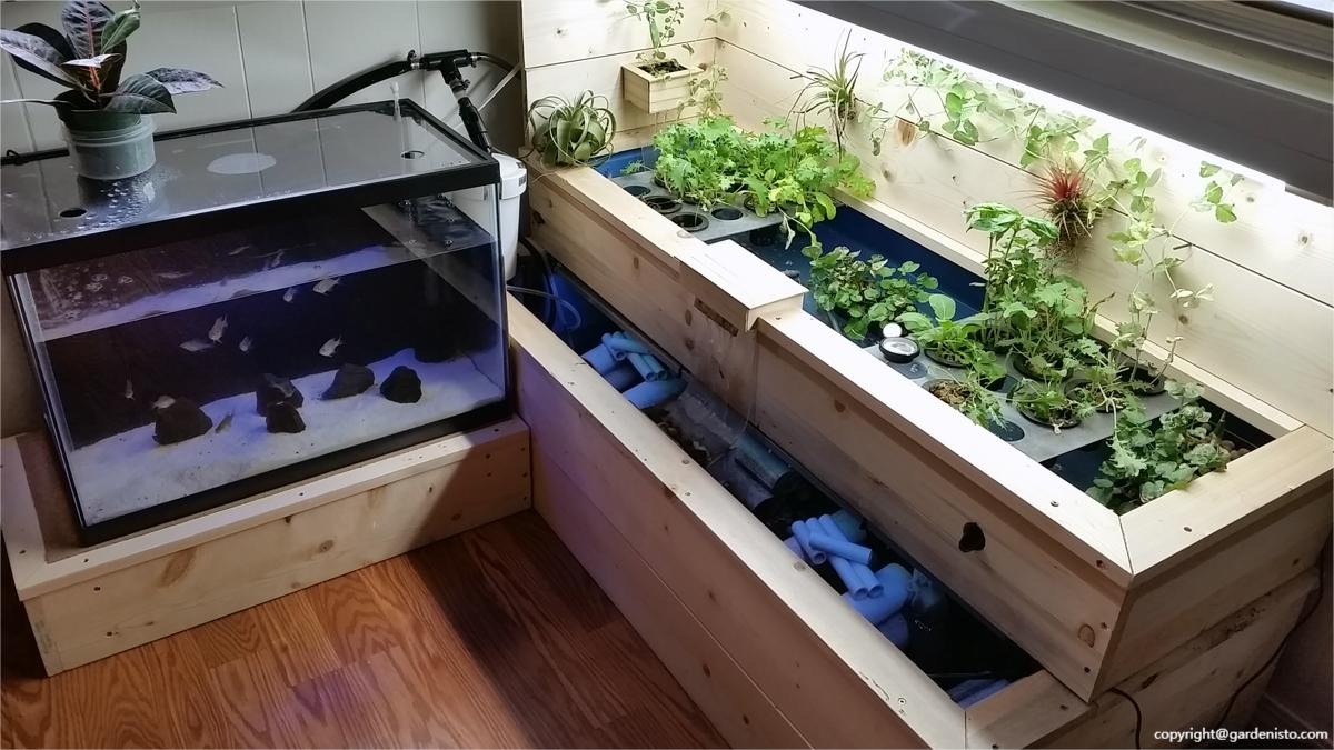 Aquaponic farming greenhouse setup with crops and farmer.