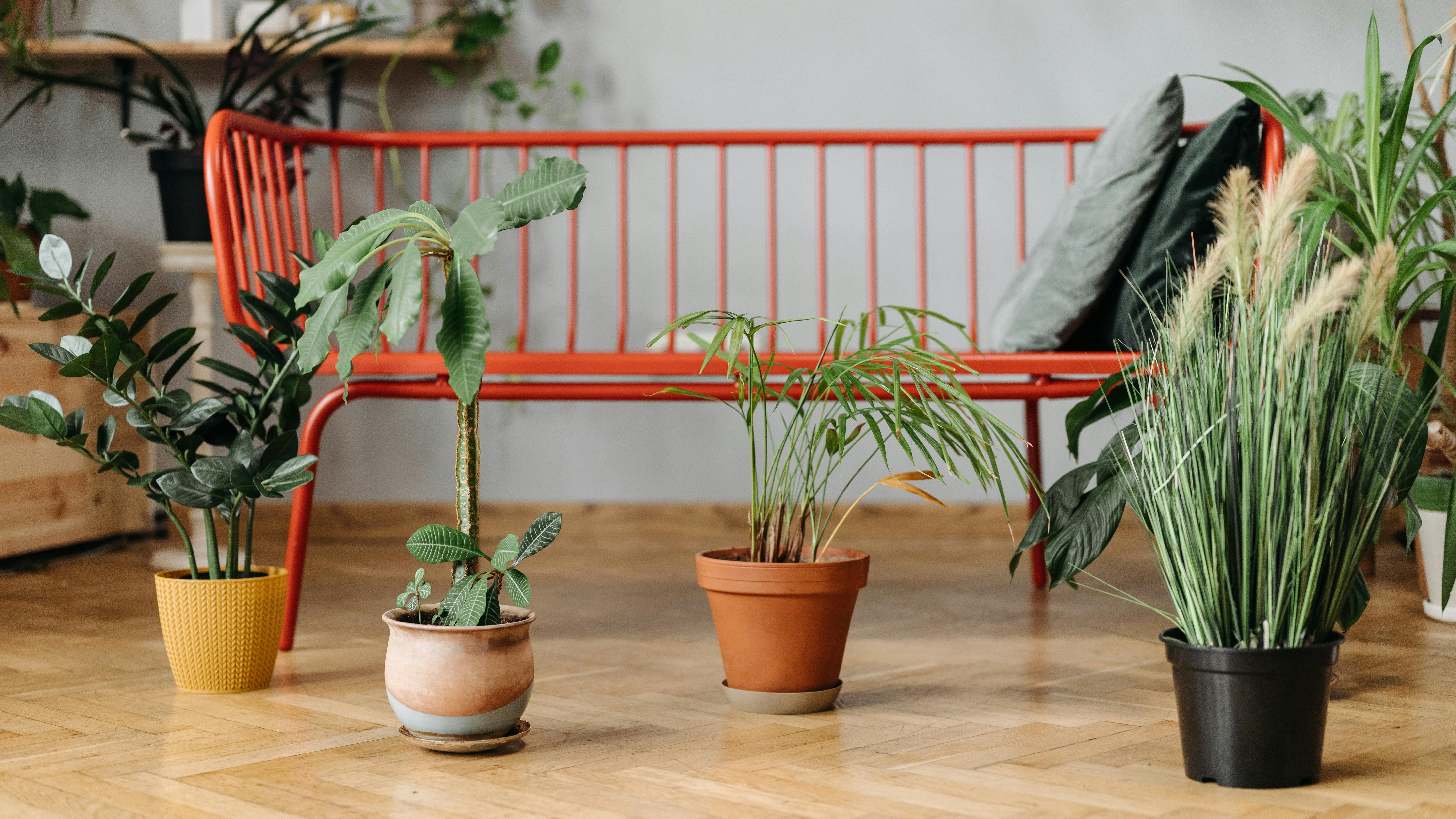 Chunky modern wooden bench with pillow and vase in minimalist setting