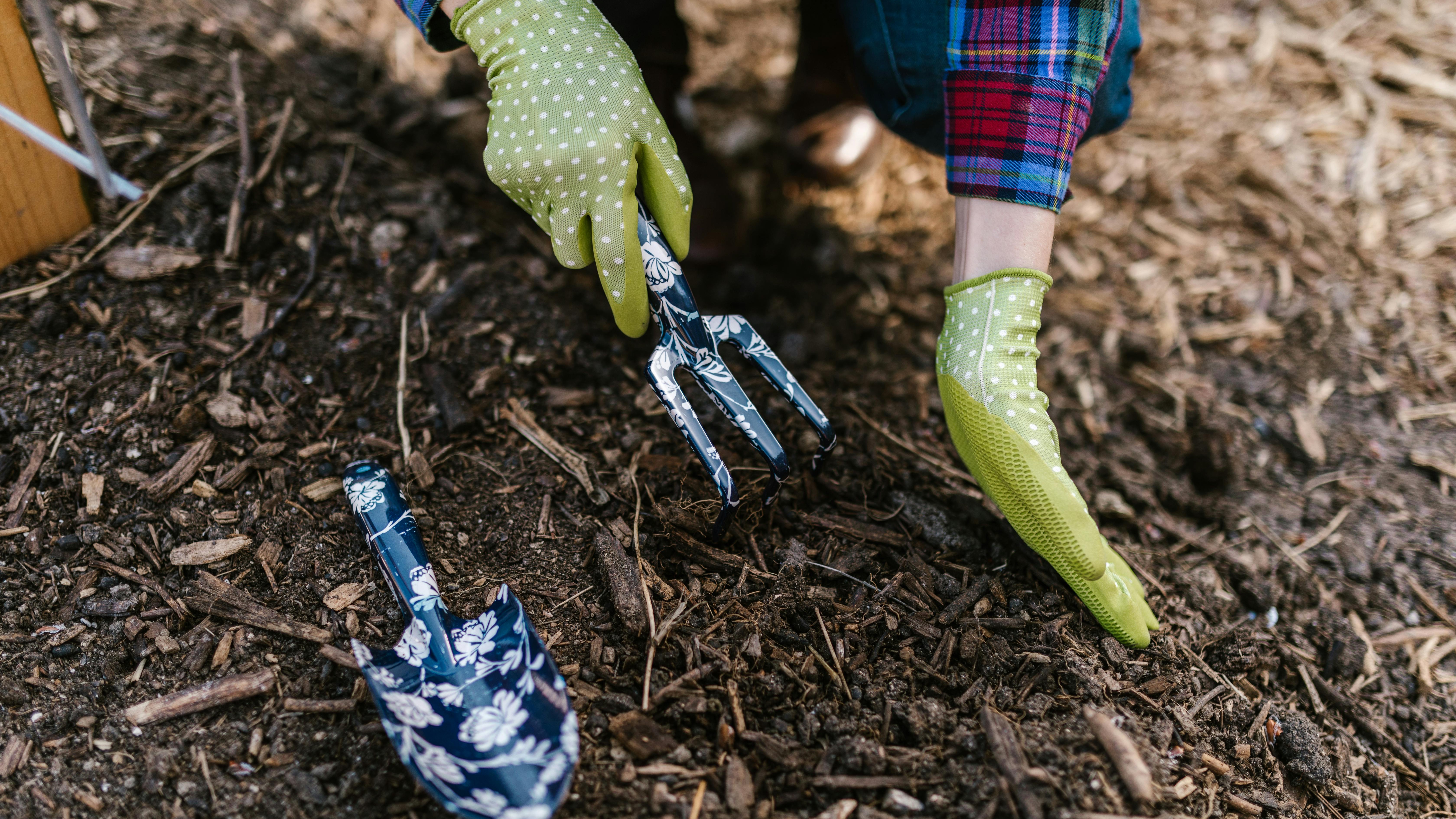 Heavy Metals That are Bad for Plants