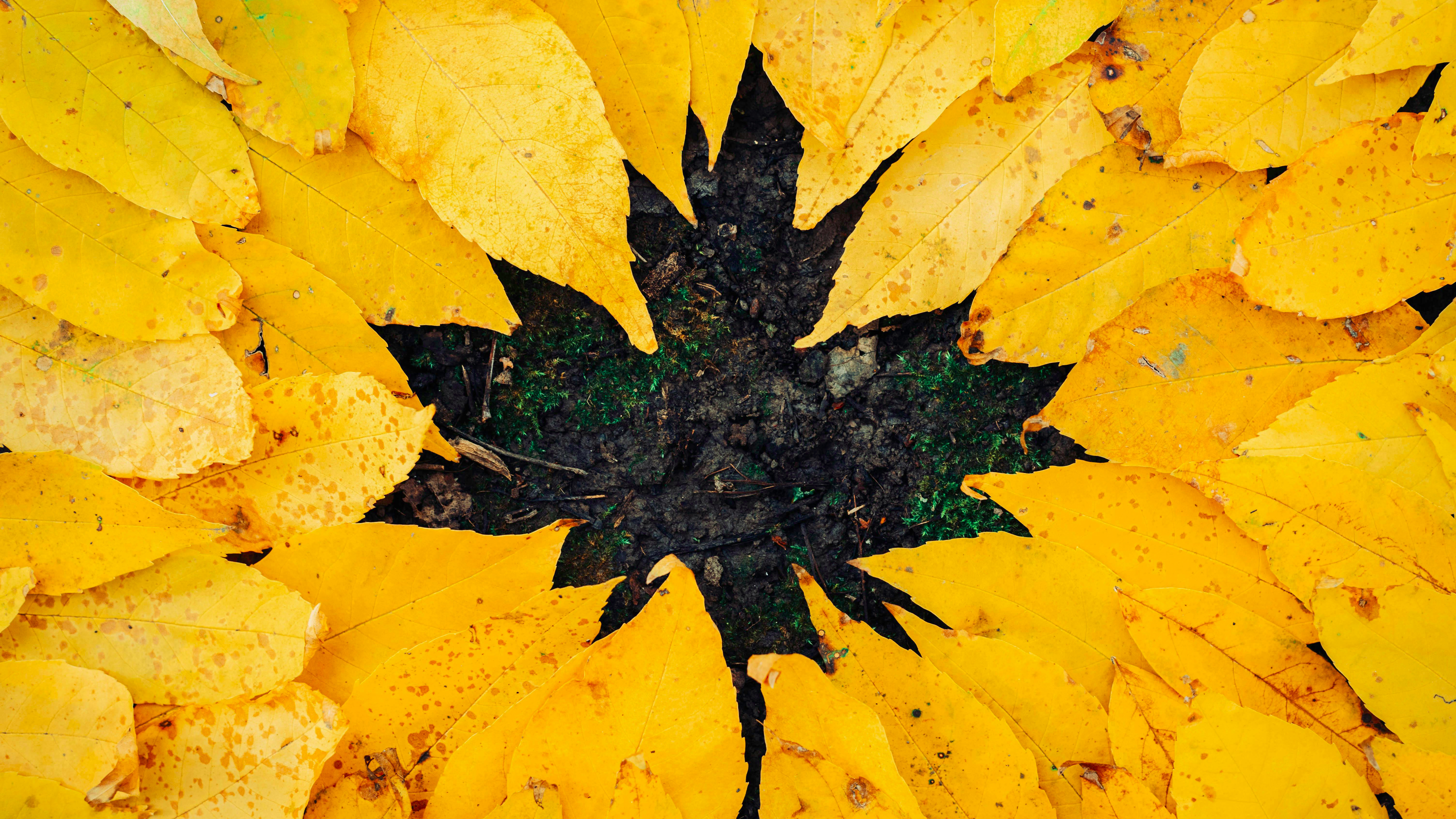 Stylish fall home decor and fashion collage featuring Omaha trends.