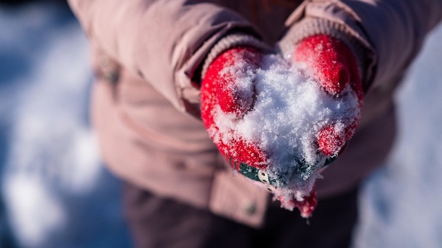 Exploring a botanical garden in Omaha, ideal winter activity for kids.