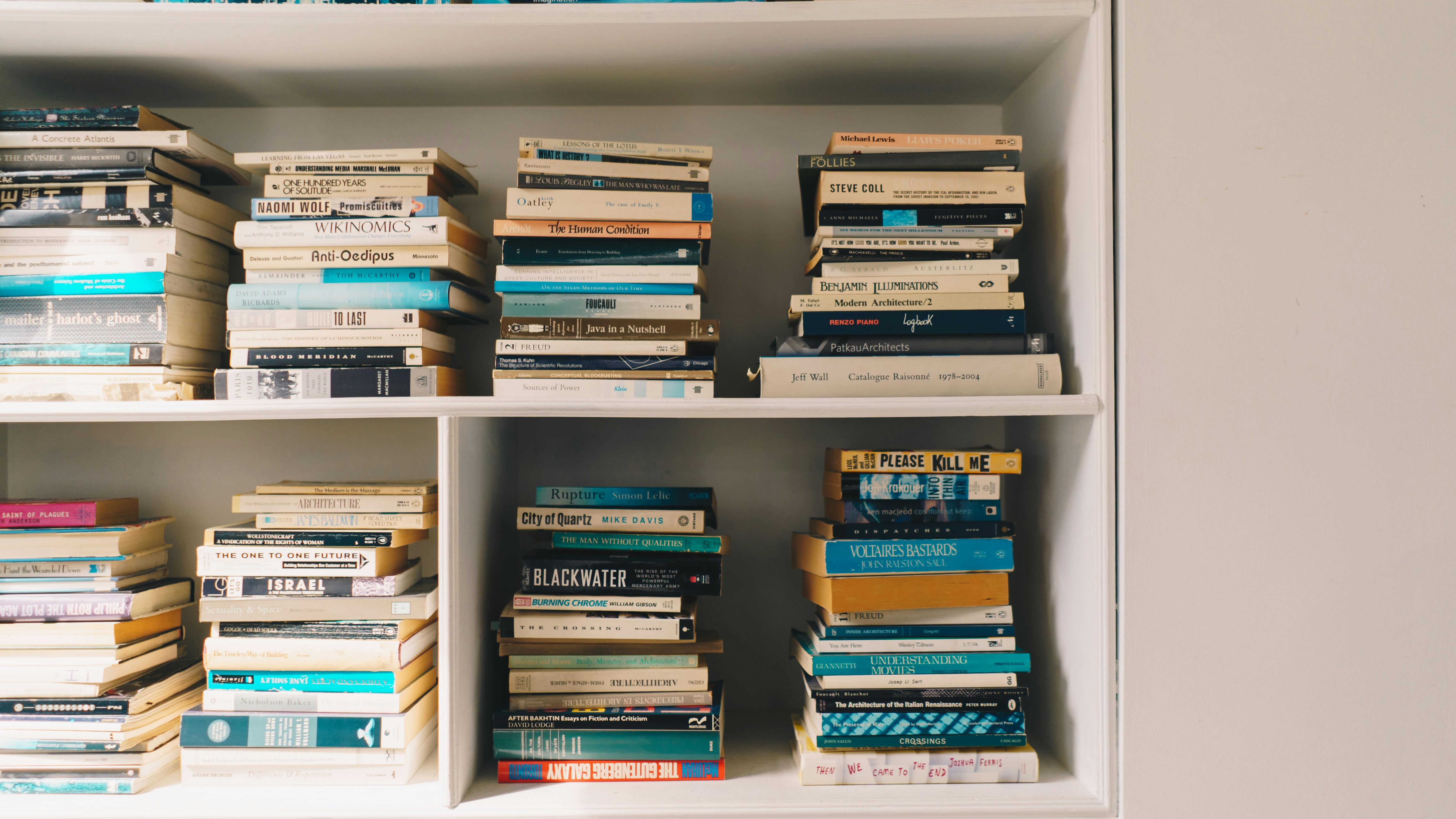 Young woman organizing wooden DIY garage shelving.