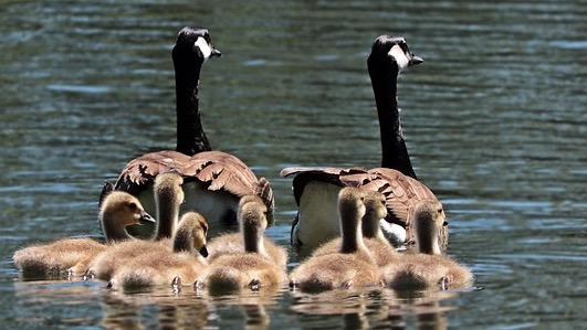 Vibrant Omaha winter events promotional banner