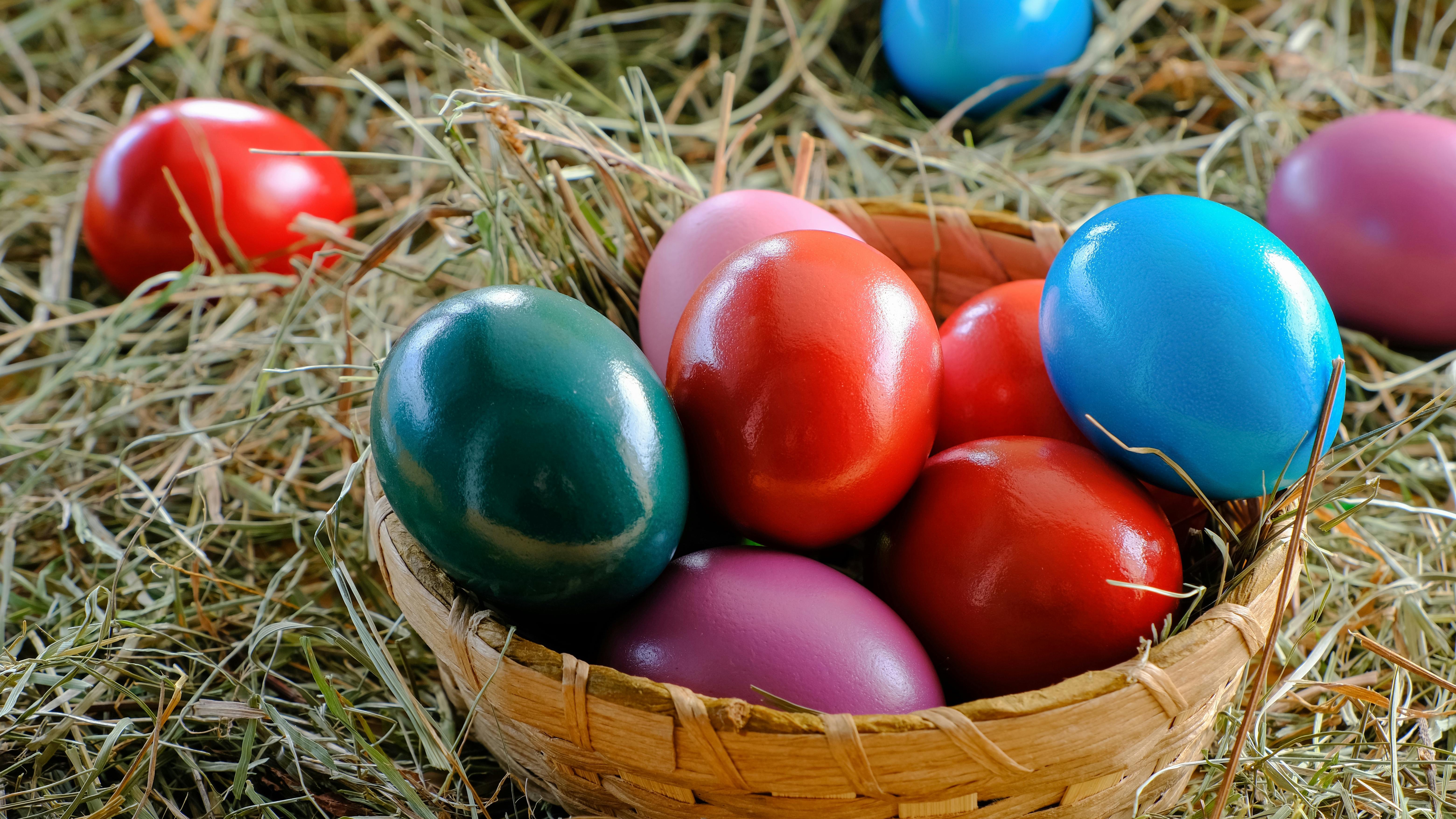 Easter activities Omaha: Colorful Easter eggs on grass.