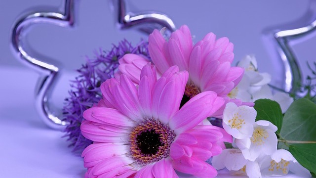 Stylish collage with home decor, fashion, eyewear items, Wednesday focus.