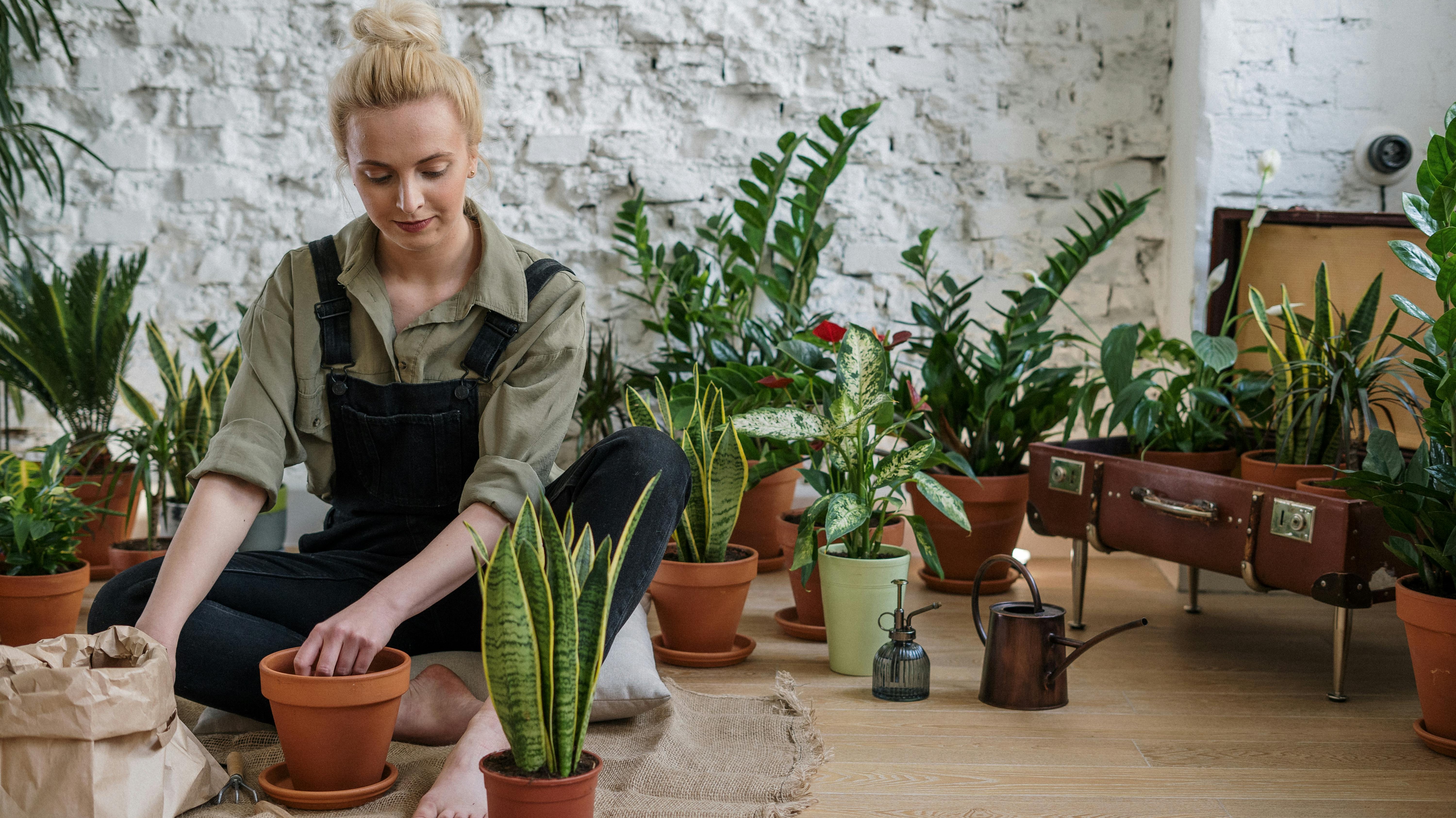 Gardener examining soil texture in a lush garden setting.