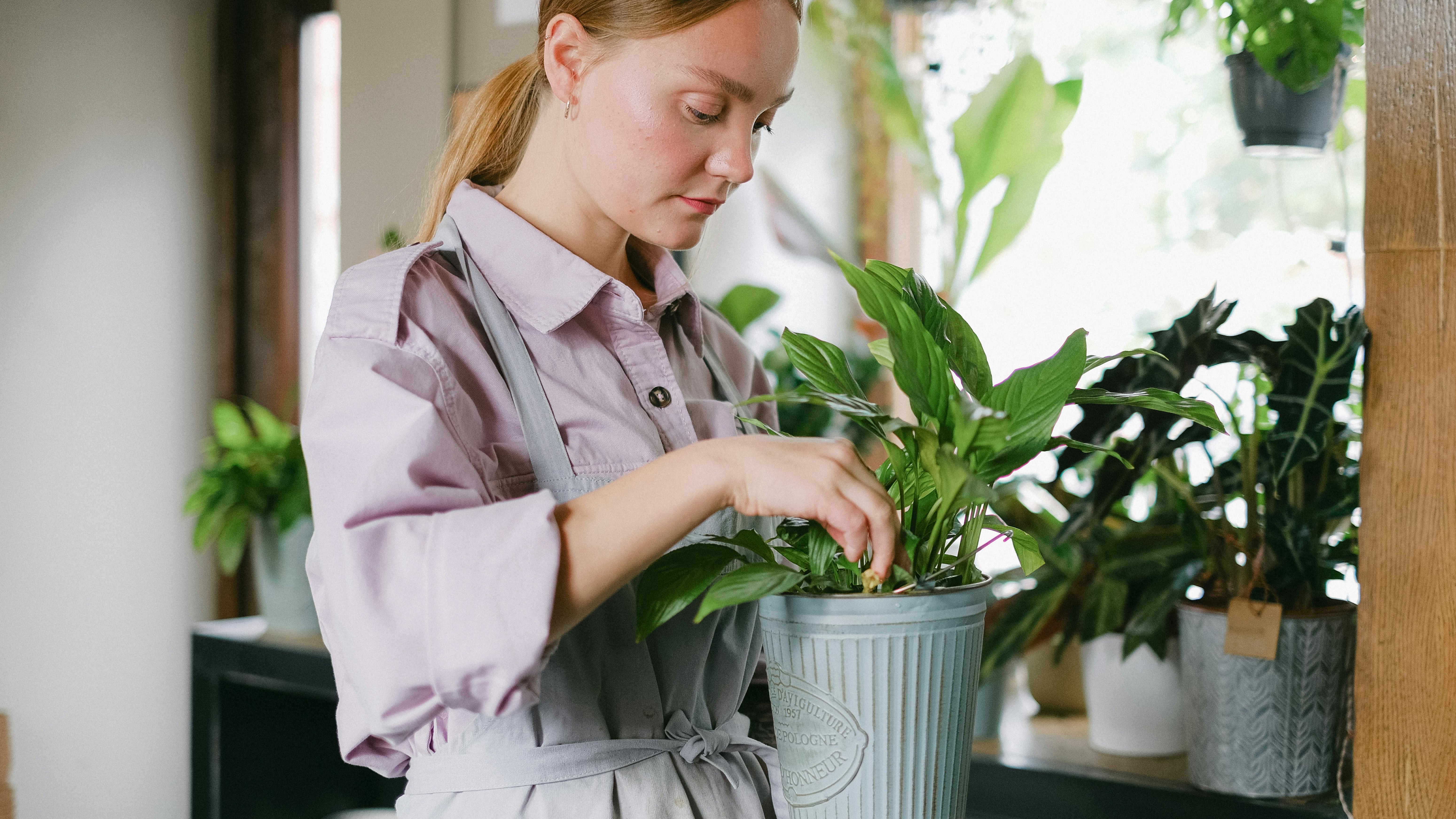 Tattooed gardener with yellow flowers, gardening tips Omaha.