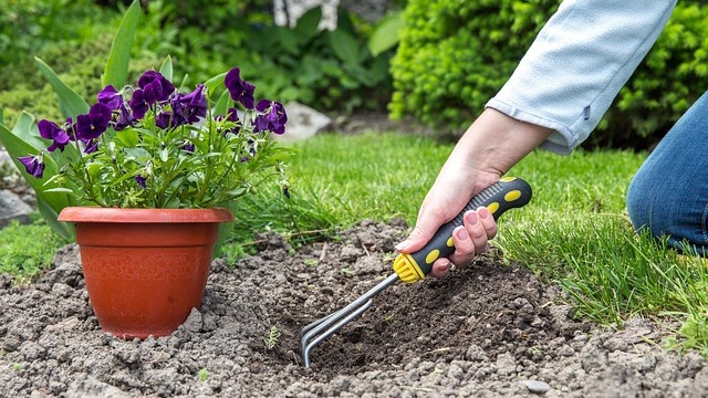 Space-saving vegetable garden ideas with rustic chairs and potted plants.