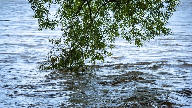 National Guard Responds to Historic Flooding in Western Washington