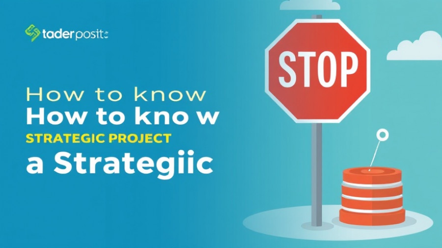 How to Know When to Stop a Strategic Project