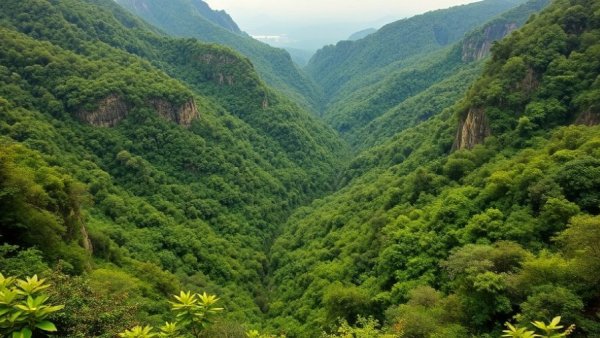 Expansive green mountains showcasing rich biodiversity, related to the expansion of Indigenous territories in Brazil.