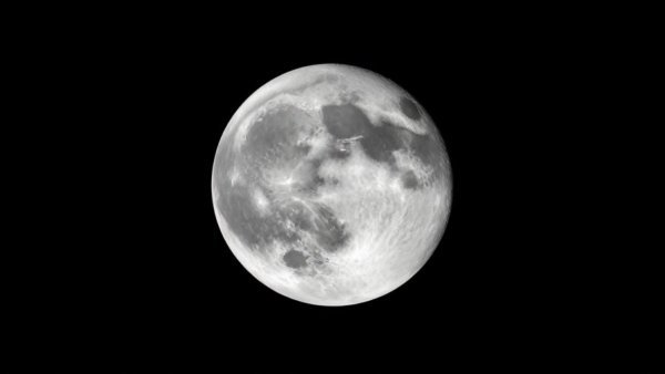 Lunar surface for lunar biorepository concept.