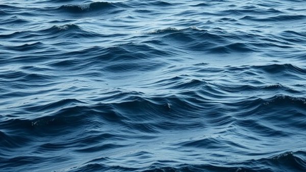 Serene ocean waves with gentle patterns and dark blue hues.