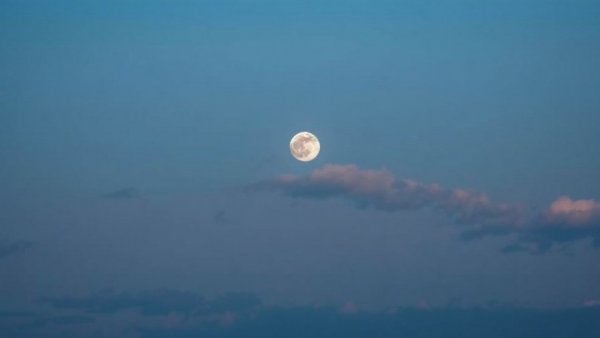 Inspirational quote with a calming sky background illustrating mental reset rituals.