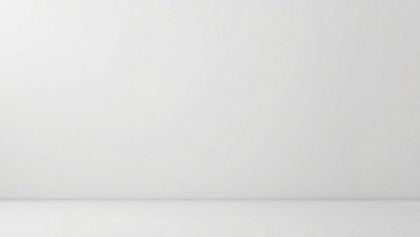 Abstract placeholder representing leadership during disruption.