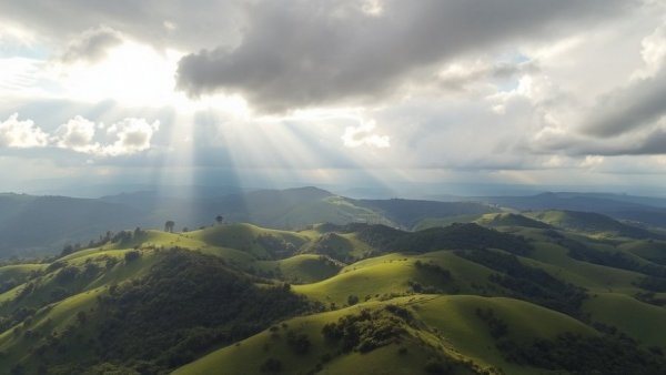 Aerial view of lush Rwandan landscape during gorilla trekking.