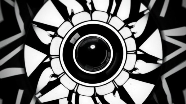 Abstract monochrome design symbolizing surveillance with high contrast.