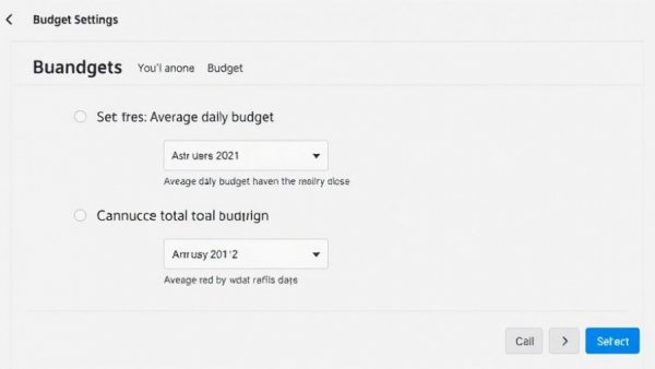 Campaign total budgets settings screen showing budget input options.