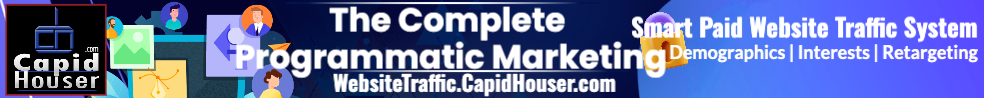 learn more about paid traffic and programmatic marketing