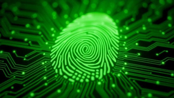Neon digital fingerprint with circuit design, technology theme.