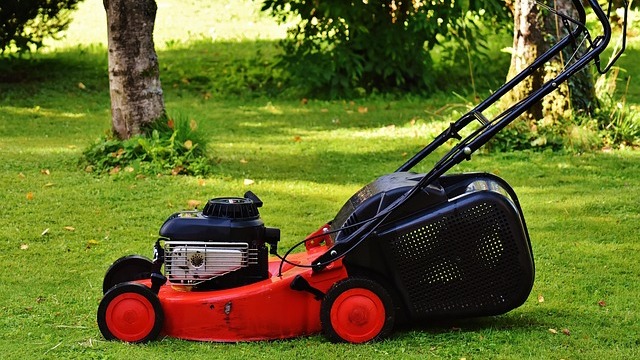 Sleek modern lawn mower from EGO brand on test, best lawn mowers 2026.