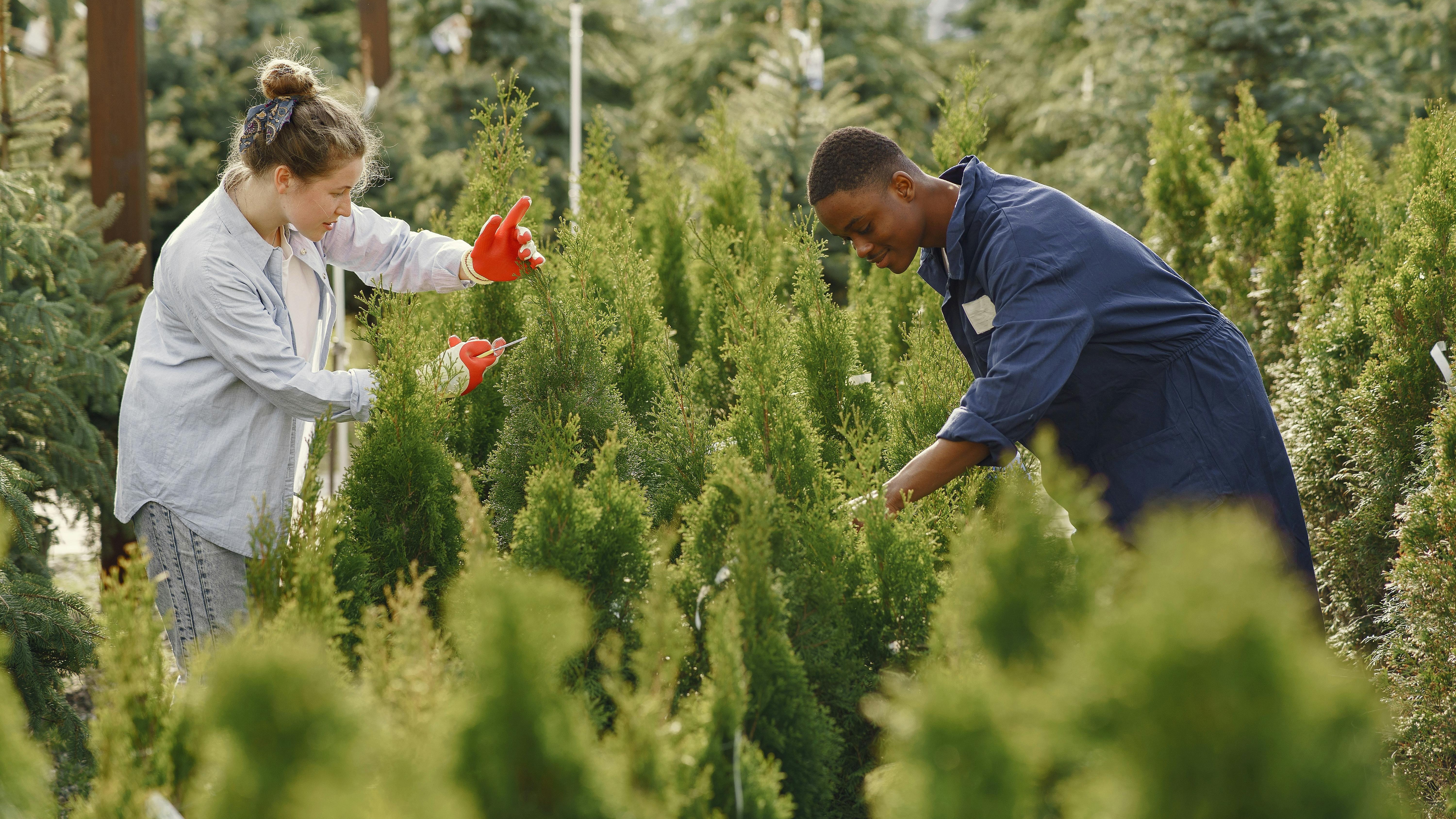 Ecosia search engine for sustainable practices interview graphic with microphone and portrait.