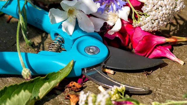 Best garden shears 2026 on gradient background.