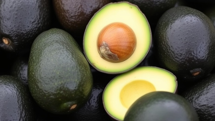 New Zealand avocados exports boost health benefits and support local farmers globally.