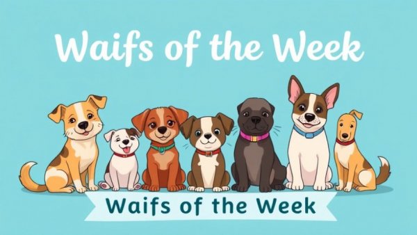 Kansas City pets for adoption promotion with cartoon animals, Wayside Waifs.